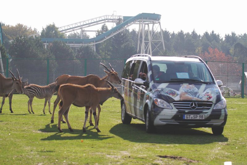 safari park stukenbrock angebote